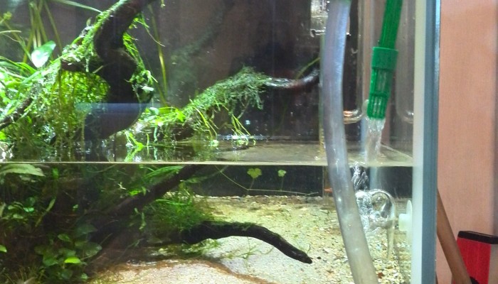 Waterverversing aquarium