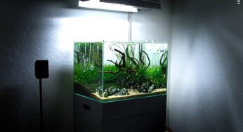 Aquarium verlichting