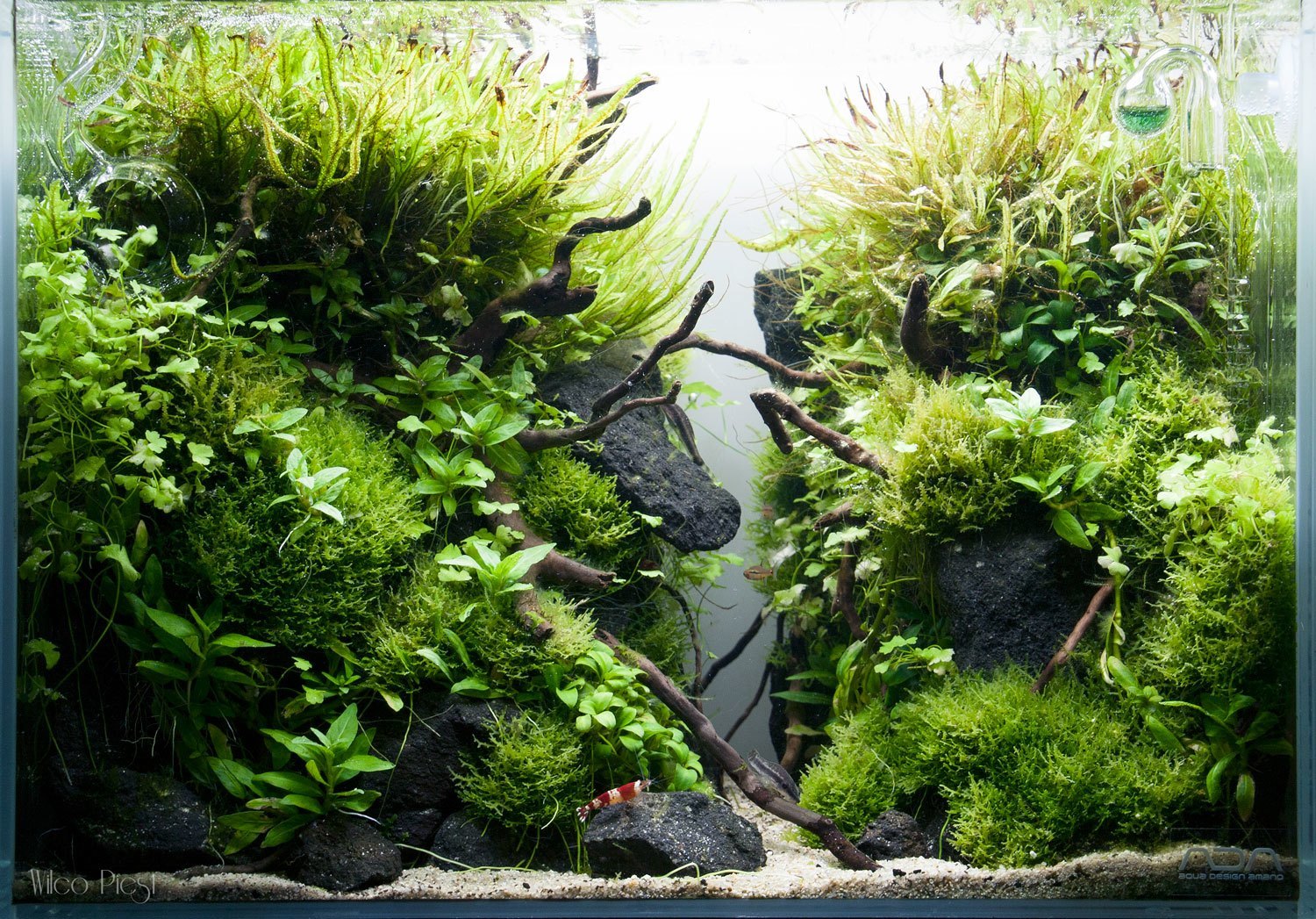 aquarium inspiratie nodig?