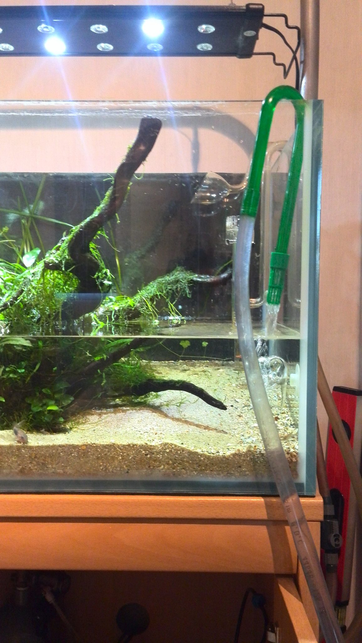 Je aquarium verversen binnen de 30 minuten