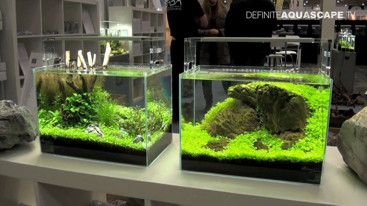 droog Handel aangrenzend Aquarium LED-verlichting: voordelen & tips bij aanschaf!