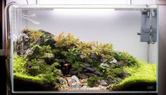 Aquarium inspiratie: “Mighty Cave” door Michael Baumrucker