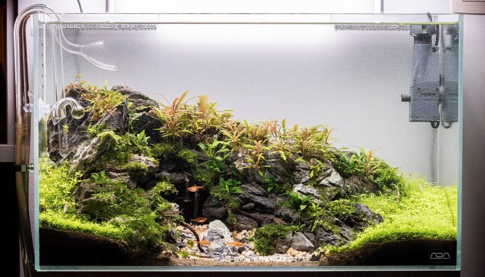 Aquarium inspiratie: “Mighty Cave” door Michael Baumrucker