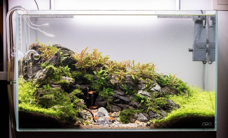 Aquarium inspiratie: "Mighty Cave" door Michael Baumrucker | 2 | AquascapingBlog