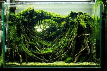 Natuurlijk hout