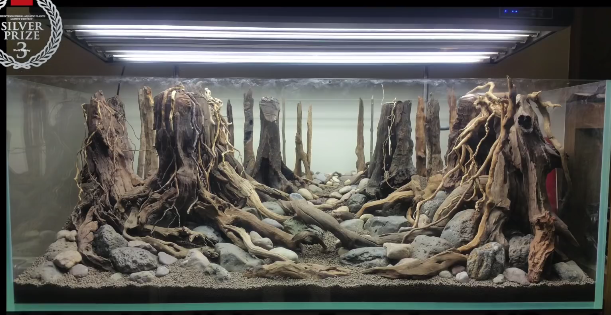 aquarium inspiratie: hardscape