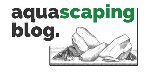 AquascapingBlog